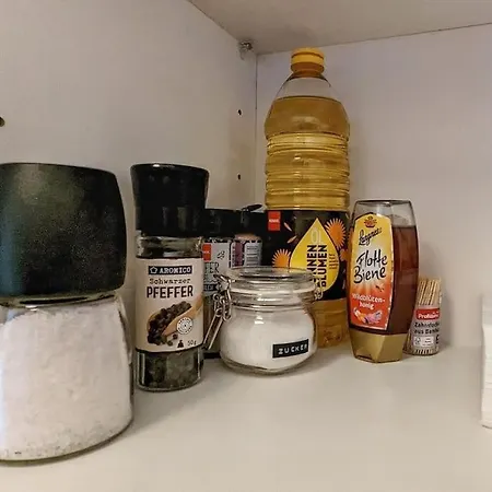 Stylisches Villa-apartment In Schlossgartennaehe Appartement