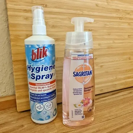 Stylisches Villa-apartment In Schlossgartennaehe *