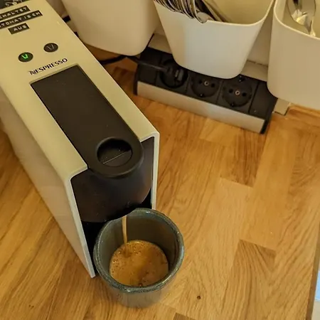 Appartement Stylisches Villa-apartment In Schlossgartennaehe Schwerin (Mecklenburg-Vorpommern)